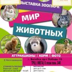 Выставка «Мир Животных» в Витебске